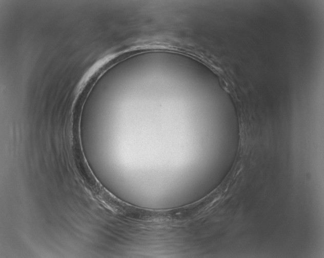 X0000078230200200611030902