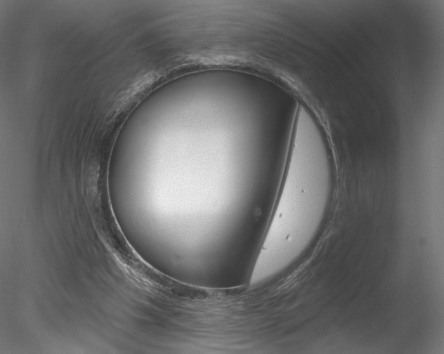 X0000078230201200611030902