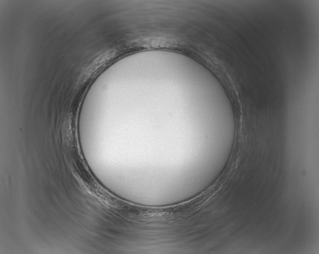 X0000078230202200611030902