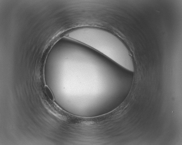 X0000078230203200611030902