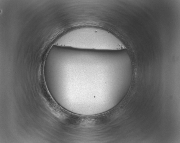 X0000078230206200611030902