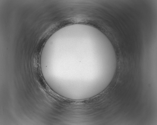 X0000078230210200611030902