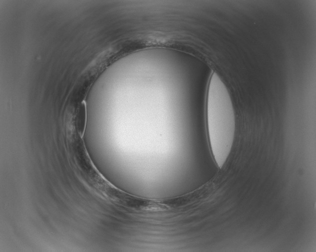 X0000078230215200611030902