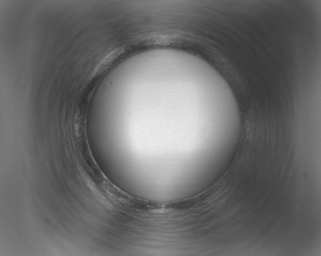 X0000078230216200611030902