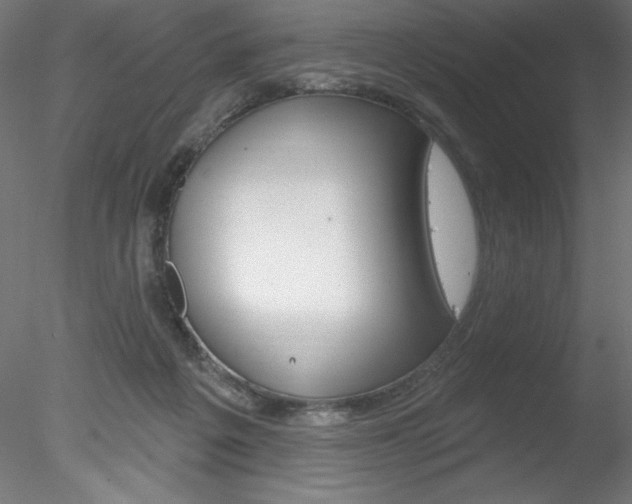 X0000078230217200611030902