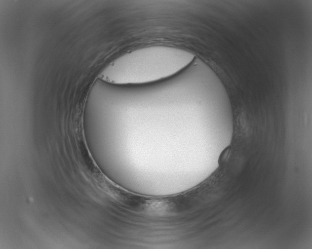 X0000078230218200611030902