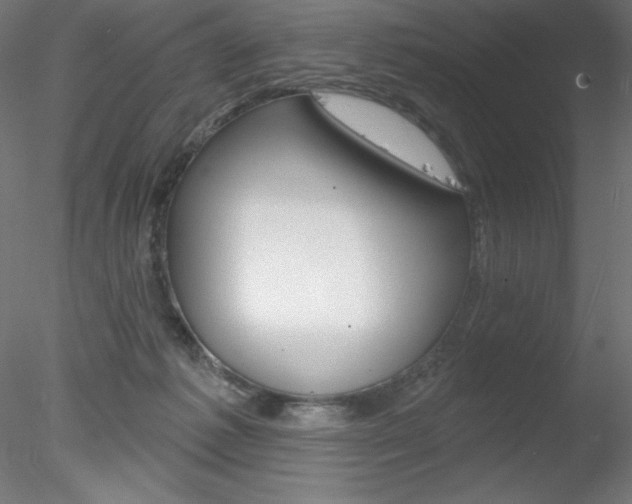 X0000078230221200611030902