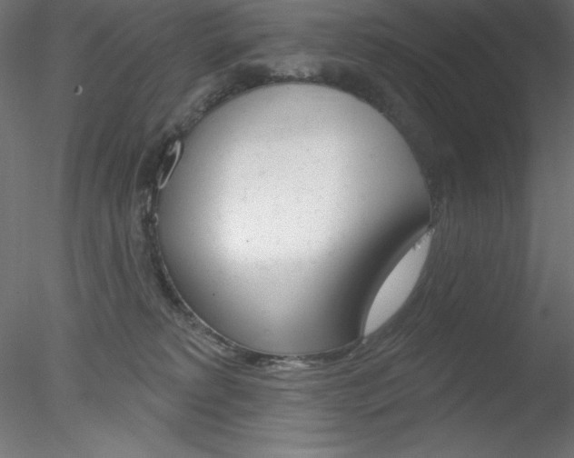 X0000078230229200611030901