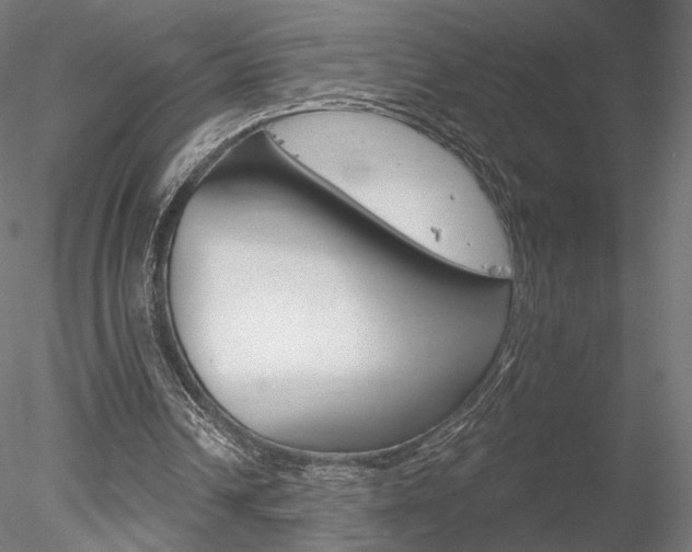 X0000078230242200611030900