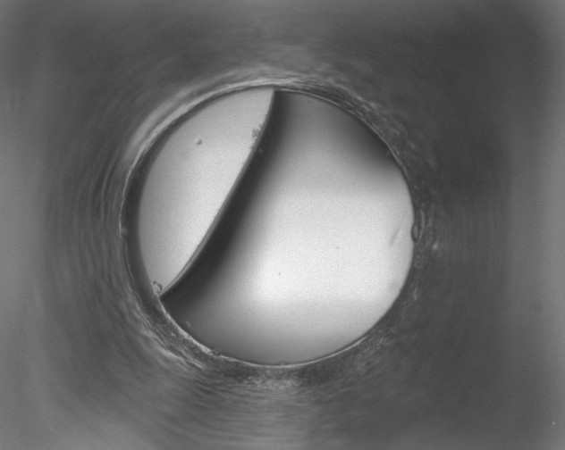 X0000078230247200611030901