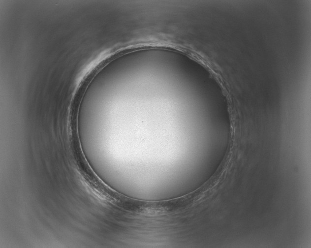X0000078230248200611030901
