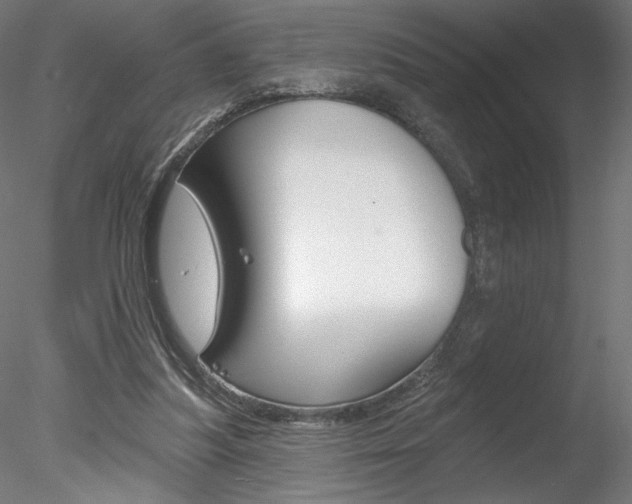 X0000078230251200611030901
