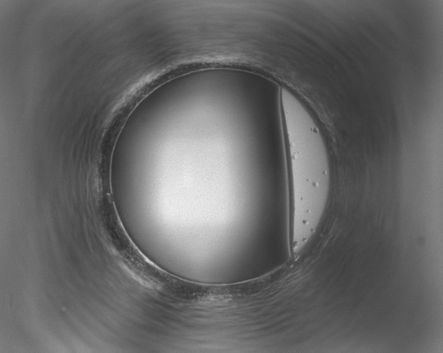 X0000078230252200611030901