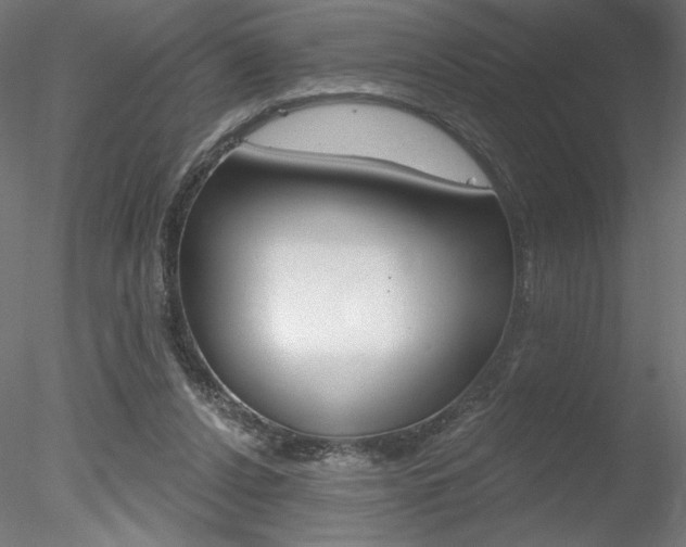 X0000078230256200611030901