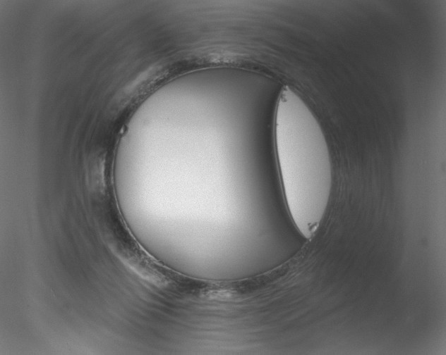 X0000078230262200611030901
