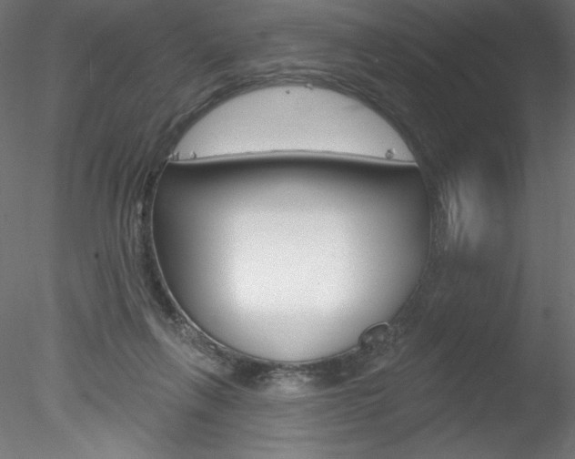 X0000078230263200611030901