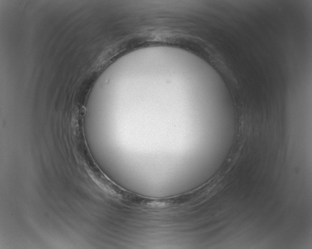 X0000078230265200611030901