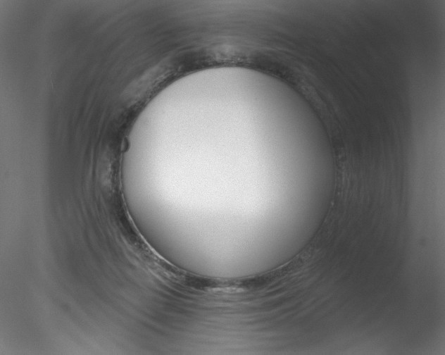 X0000078230266200611030901