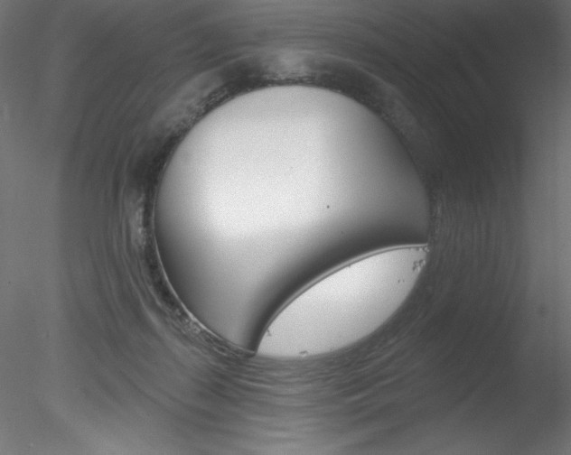 X0000078230267200611030901