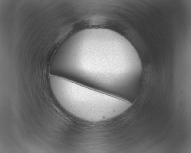 X0000078230269200611030901