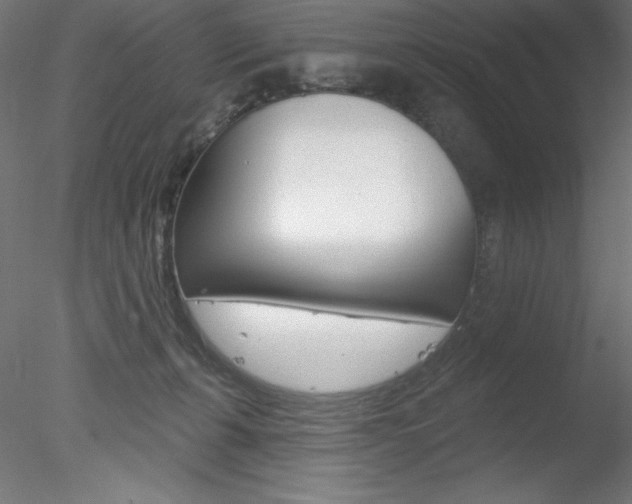 X0000078230271200611030901