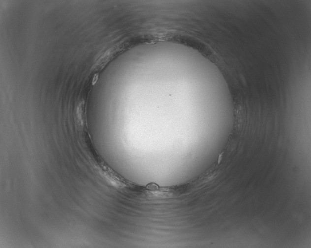 X0000078230286200611030901