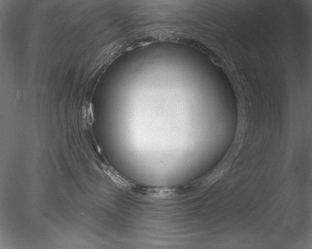 X0000078230288200611030901