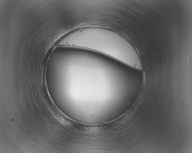 X0000078230301200611030900