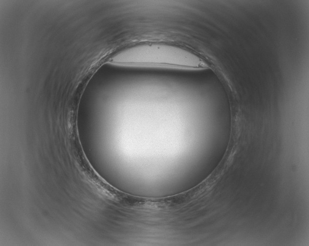X0000078230305200611030900