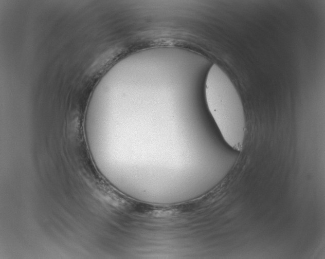 X0000078230314200611030900