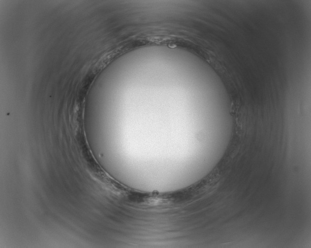 X0000078230319200611030900