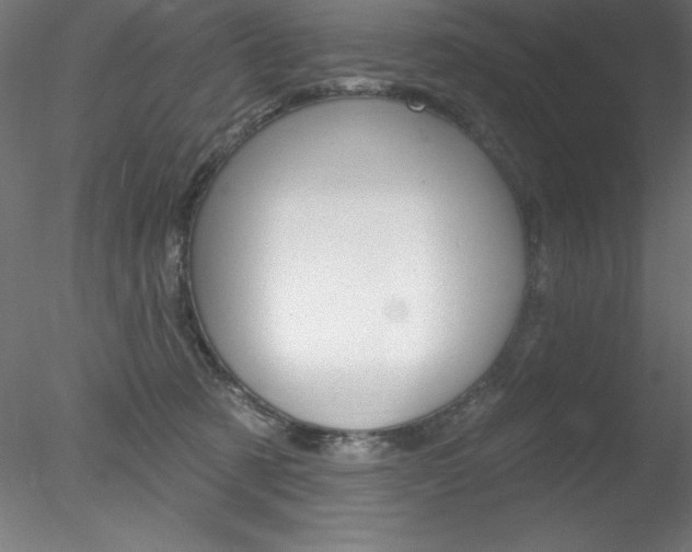 X0000078230321200611030900