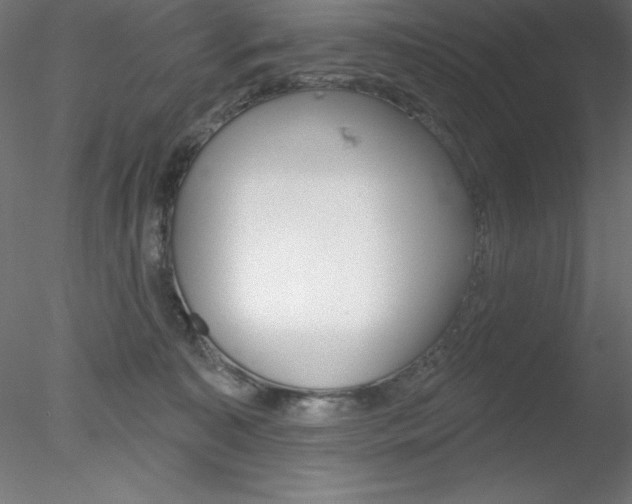 X0000078230323200611030900
