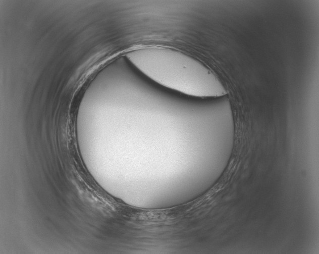 X0000078230338200611030859