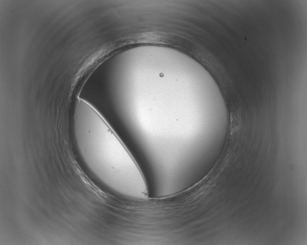 X0000078230349200611030859
