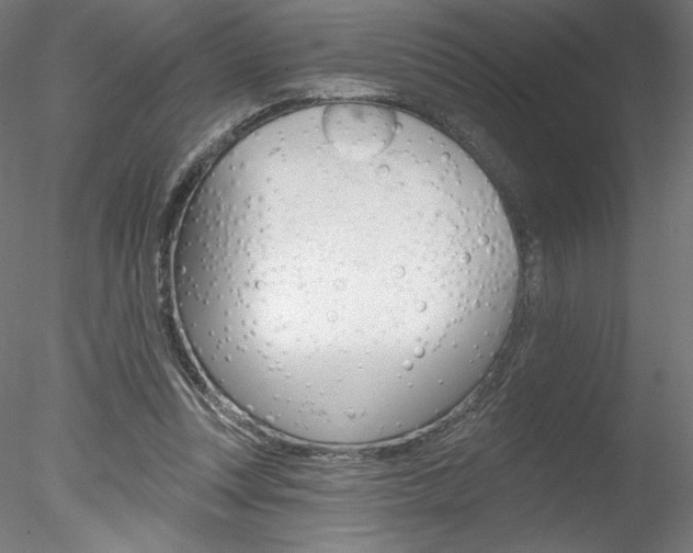 X0000078230351200611030859