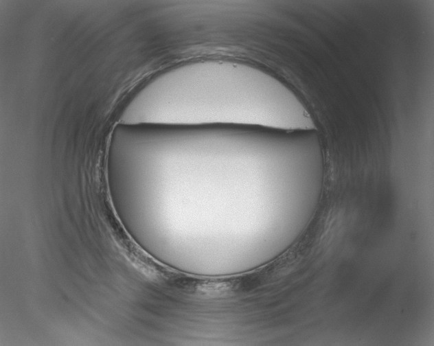 X0000078230357200611030859
