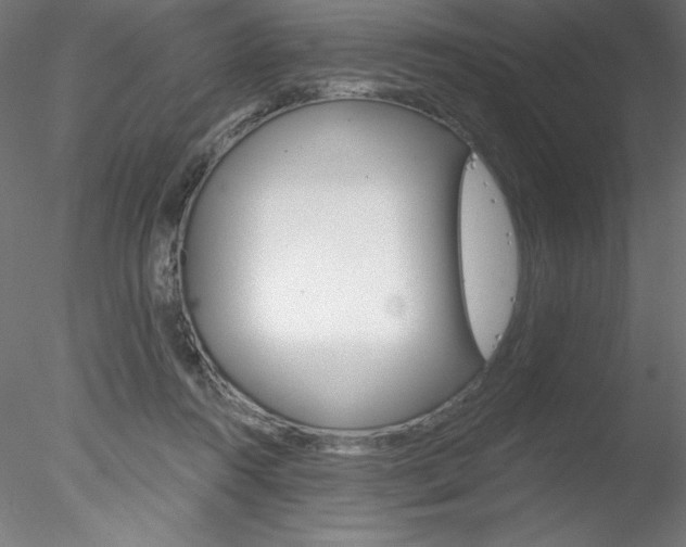 X0000078230360200611030859