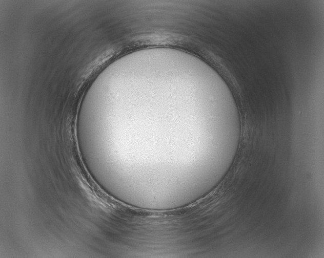 X0000078230394200611030859