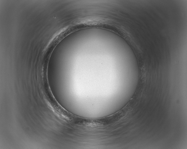 X0000078230400200611030859