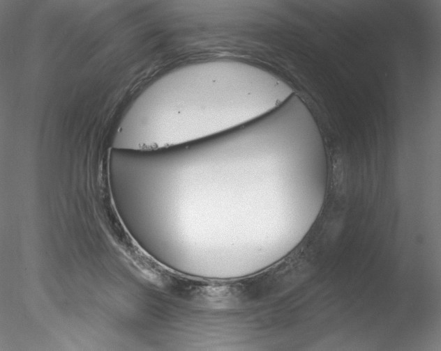 X0000078230406200611030858