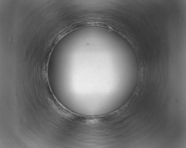 X0000078230411200611030858