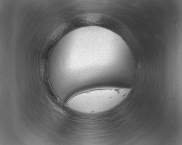 X0000078230412200611030858
