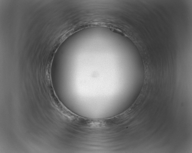 X0000078230415200611030858