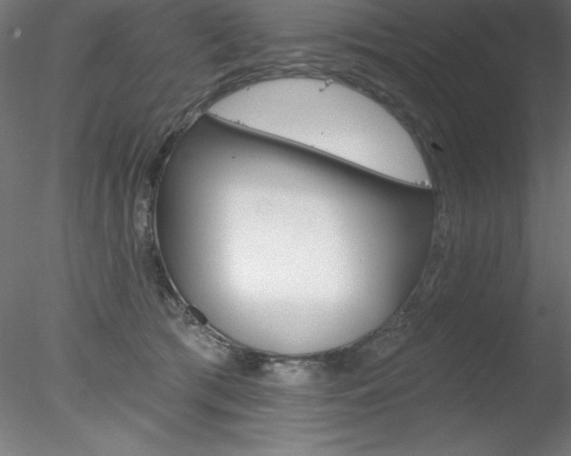 X0000078230417200611030858