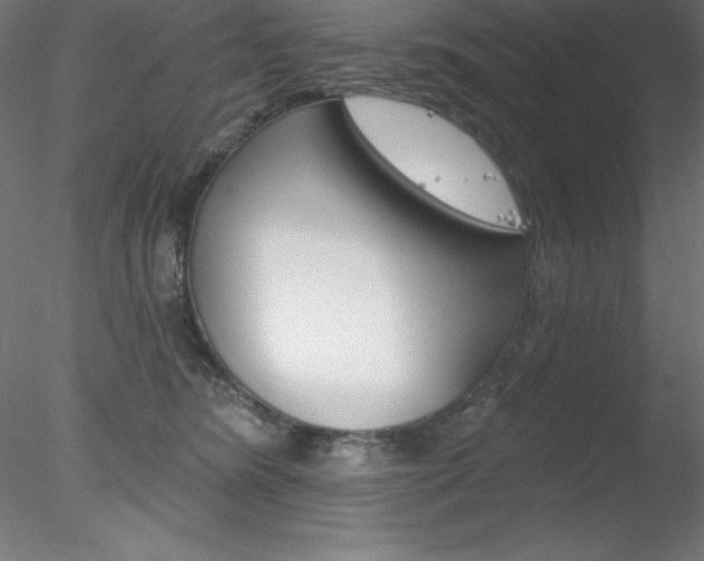 X0000078230420200611030858