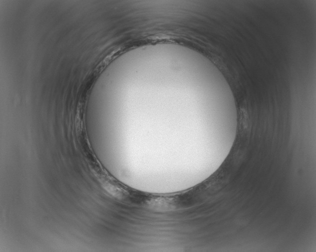 X0000078230422200611030858