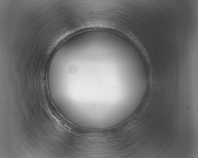 X0000078230434200611030857