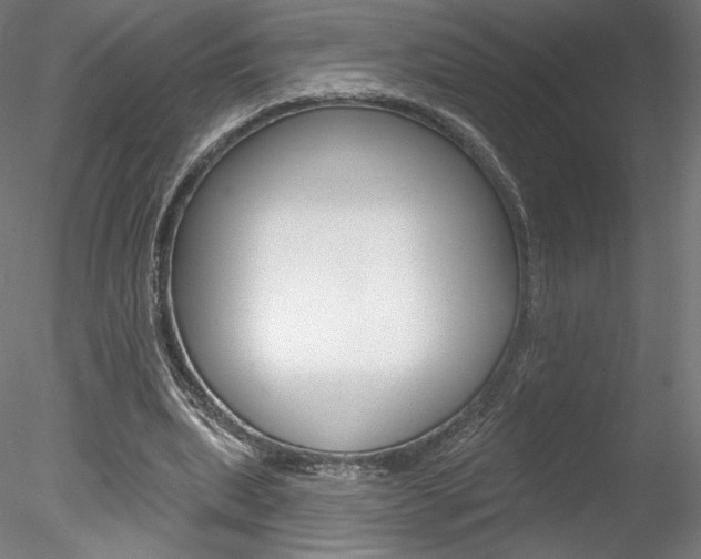 X0000078230439200611030857