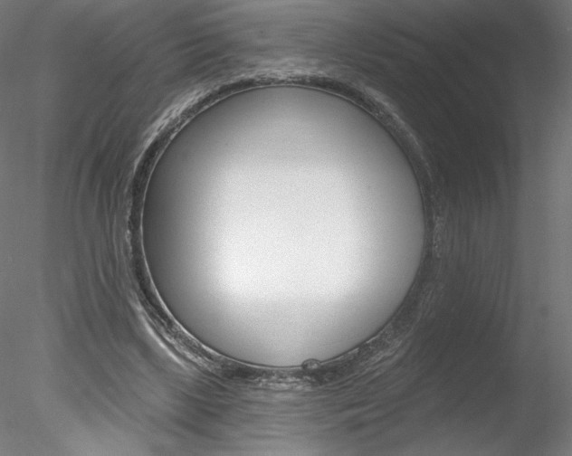 X0000078230443200611030857